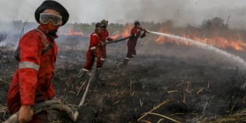 Tersangka Pembakar Lahan Terancam Denda Rp 10 Miliar