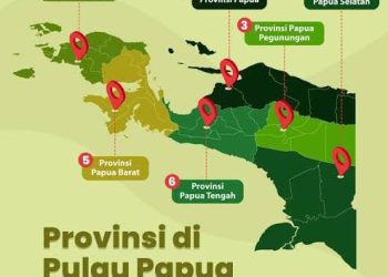 Pemprov di Tanah Papua Diminta Dorong Perdasus Pengendalian Kependudukan