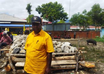 Usai RAKERDA dan RAPIMDA, Partai Golkar Papua Pegunungan Gelar Bakar Batu