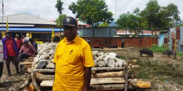 Usai RAKERDA dan RAPIMDA, Partai Golkar Papua Pegunungan Gelar Bakar Batu