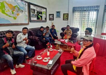 Wabup Humbahas Harap PPDI DPC Humbahas Profesional Dalam Publikasikan Informasi Sebagai Mitra Pemerintah