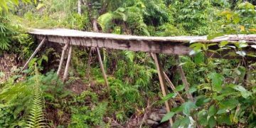 Jembatan Tani Di Humbahas Problem Terbesar Yang Dihadapi Warganya