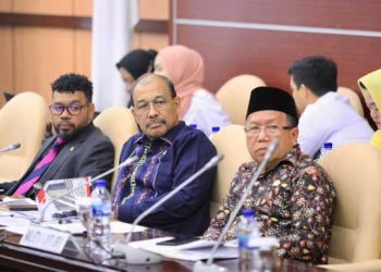 Pemerintah dan DPD RI Bahas Penyelesaian Pelanggaran HAM Berat