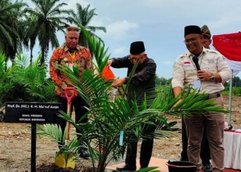 Wapres RI Perintahkan Percepat Pembangunan Pabrik Sawit di Papua Barat