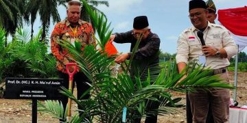Wapres RI Perintahkan Percepat Pembangunan Pabrik Sawit di Papua Barat
