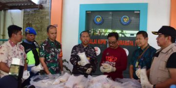 TNI AL Berhasil Gagalkan Penyelundupan Benih Bening Lobster ke Singapura Senilai Lebih dari 8 M