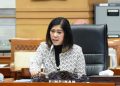 DPR Harap Pembebasan Pilot Susi Air Tak Rendahkan Harga Diri Bangsa