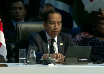 Di KTT BRICS, Jokowi Minta Negara Berkembang Bersatu Perjuangkan Hak