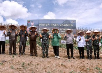 Panen Raya Jagung di Humbahas Dihadiri Danrem 023/KS