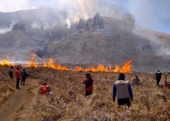 BNPB Sebut Denda Pelaku Kebakaran Bromo Masih Kurang Dibanding Biaya Water Bombing