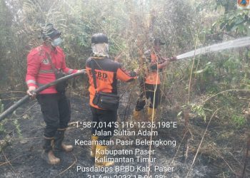 Kebakaran Lahan Seluas 20 Hektar di Penajam Paser Utara Berhasil Dipadamkan