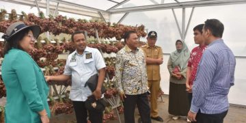 DPD RI Kunjungan Kerja Ke Kabupaten Humbang Hasundutan
