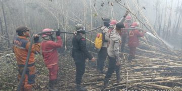 Upaya Tim Satgas Darat dan Udara Kendalikan Karhutla di Ogan Komering Ilir