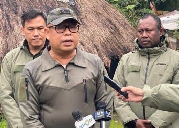 Satgas Damai Cartenz Tangkap 3 Anggota KKB, Perannya dari Pemasok Amunisi Hingga Pemasok Bahan Makanan