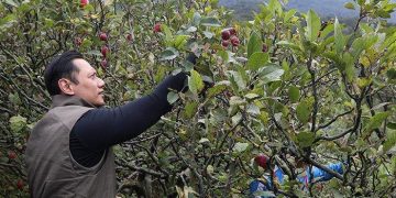 Respons Demokrat soal Kabar AHY Bakal Jadi Mentan