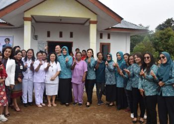 Pj Ketua TP PKK Sumut Kunjungi Posyandu di Paranginan