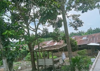 Warga di Langkat Keluhkan Bau Tak Sedap Diduga Cairan Kotoran Peternakan