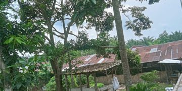 Warga di Langkat Keluhkan Bau Tak Sedap Diduga Cairan Kotoran Peternakan