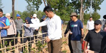 Tanam 1.800 Pohon Jati Mas, Kepala BP Batam : Terus Melaju Wujudkan Batam Baru yang Hijau dan Lestari