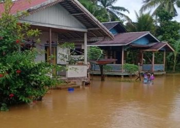Banjir Rendam 376 Rumah Warga di Kabupaten Kapuas Hulu