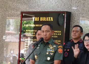 Panglima TNI Sebut Patroli di Papua Akan Pakai Drone