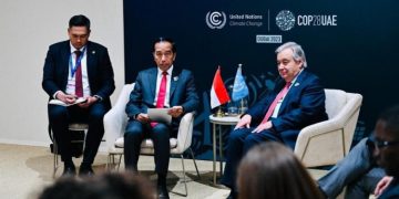 Jokowi Dorong PBB Investigasi Pelanggaran Israel di Jalur Gaza