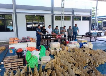 Satgas Natal & Tahun Baru TNI AL di Perbatasan Gagalkan Penyelundupan Barang Ilegal