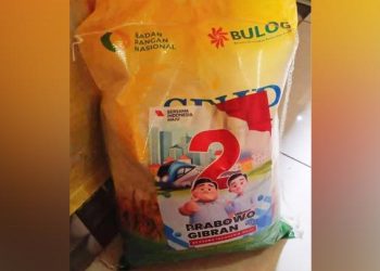 Ini Penjelasan Bulog dan Bapenas Soal Foto Beras Ditempel Stiker Prabowo-Gibran