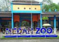 Wali Kota Medan Akan Tutup Sementara Medan Zoo
