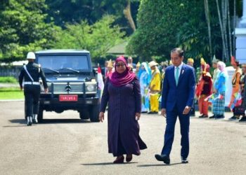 Bertemu Dengan Presiden Tanzania, Jokowi Bahas Kerja Sama Investasi Pertamina Hingga Farmasi
