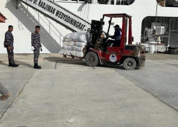 Bawa Bantuan Kemanusiaan, KRI Radjiman Wedyodiningrat-992 Tiba Di Mesir