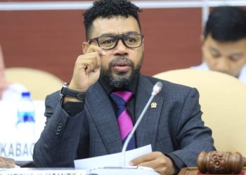 Komite I DPD RI Dukung Pj Gubernur Papua Barat Dorong BP Tangguh Tingkatkan Akses Penerbangan