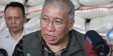 Dirut Bulog Ungkap Harga Beras Mulai Normal dan Stabil