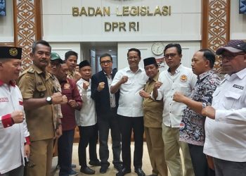 DPR dan Pemerintah Sepakat Ketua dan Anggota Dewan Kawasan Aglomerasi Ditunjuk oleh Presiden