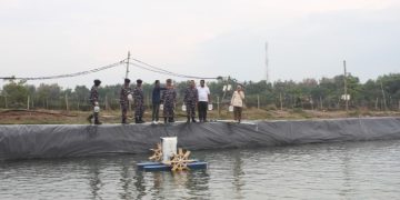 Dukung Program Ketahanan Pangan, TNI AL Tebar Ratusan Ribu Benih Udang Vaname Di Aceh Utara