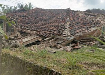 BNPB Sebut 17.644 Orang Terdampak Gempa di Gresik