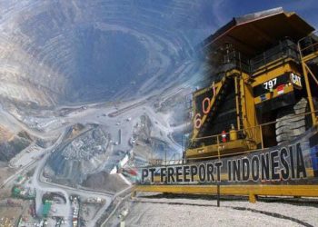 Papua Terima Rp3,35 Triliun Usai Freeport Raup Untung Rp48,79 Triliun