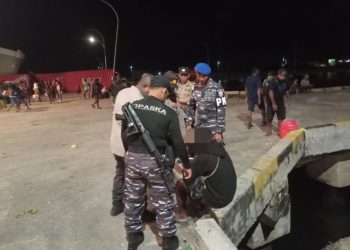 TNI AL Tangkap Pemuda Pembawa 31 Paket Ganja di Dermaga Umum Samabusa Nabire