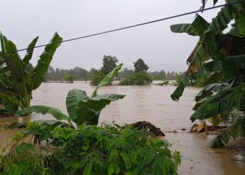 Sebanyak 14 Warga Meninggal Akibat Banjir dan Longsor di Kabupaten Luwu