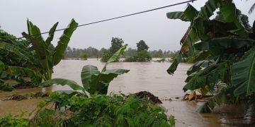 Sebanyak 14 Warga Meninggal Akibat Banjir dan Longsor di Kabupaten Luwu