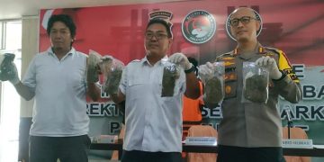 Polda Papua Barat Gagalkan 923,473 Gram Ganja Siap Edar