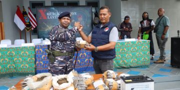 TNI AL Gagalkan Upaya Penyelundupan Ganja Seberat 13 Kg Di Perairan Perbatasan RI-PNG