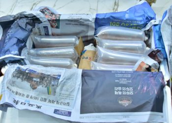 PENYELUNDUPAN BABY LOBSTER MARAK, SENILAI RP 46,8 MILYAR BERHASIL DIGAGALKAN TNI AL DI JAMBI