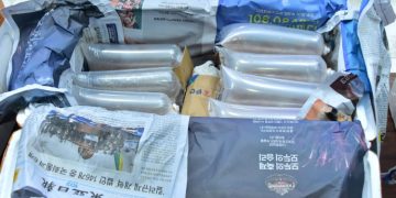 PENYELUNDUPAN BABY LOBSTER MARAK, SENILAI RP 46,8 MILYAR BERHASIL DIGAGALKAN TNI AL DI JAMBI