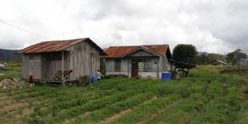 Senator Papua Barat Minta Pemerintah Dukung Petani Lokal