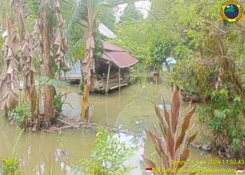 Banjir dan Lonsor Melanda Dua Kabupaten di Sulawesi Selatan