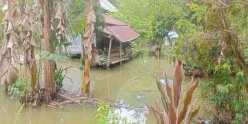 Banjir dan Lonsor Melanda Dua Kabupaten di Sulawesi Selatan
