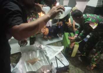 TNI AL KEMBALI SELAMATKAN KERUGIAN NEGARA DARI TRANSAKSI ILEGAL BABY LOBSTER DI LAUT