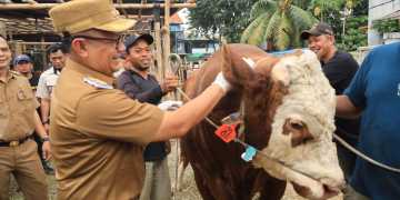 Jelang Hari Raya Kurban, Pj. Wali Kota Bekasi Pastikan Hewan Qurban Dalam Keadaan Sehat
