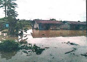Banjir Landa Kabupaten Mimika, 495 Keluarga Terdampak